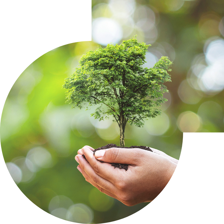 關懷人類、文化、環境與社會